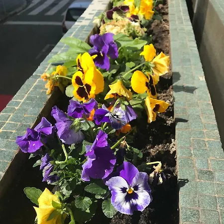 Casa Da 25 Apartmán Espinho (Aveiro)