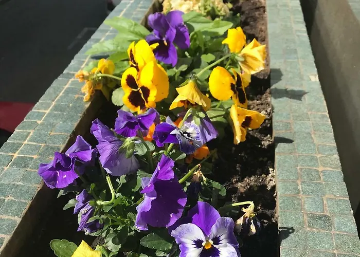 Casa Da 25 Appartamento Espinho (Aveiro)